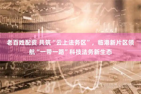 老百姓配资 共筑“云上法务区”，临港新片区领航“一带一路”科技法务新生态
