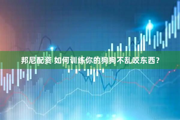 邦尼配资 如何训练你的狗狗不乱咬东西？
