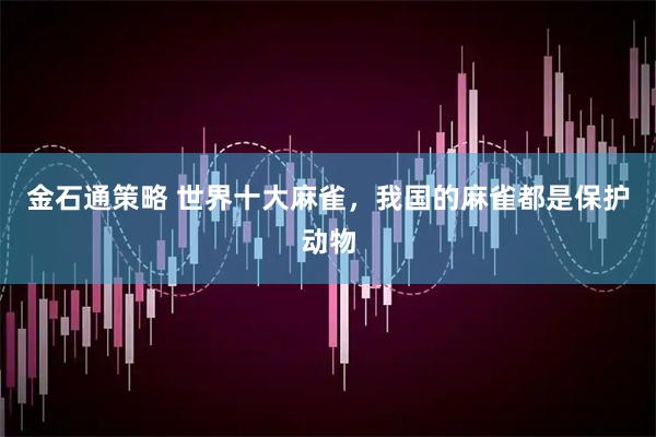 金石通策略 世界十大麻雀，我国的麻雀都是保护动物
