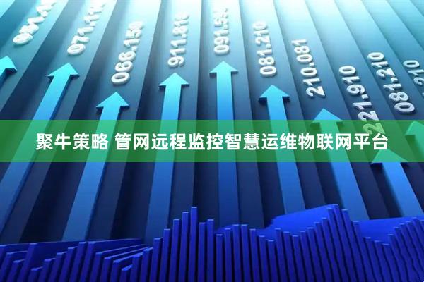 聚牛策略 管网远程监控智慧运维物联网平台
