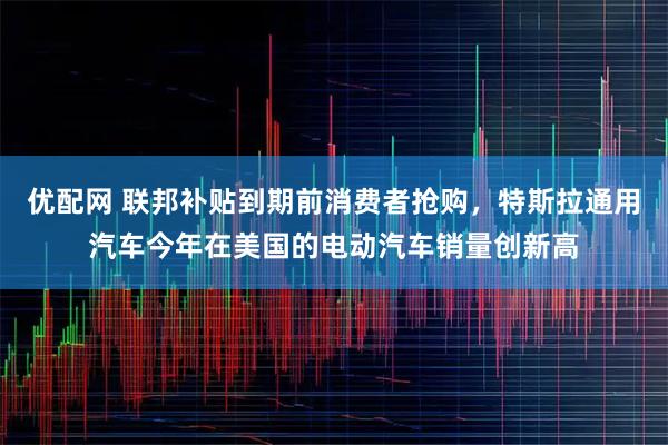 优配网 联邦补贴到期前消费者抢购,特斯拉通用汽车今年在美国的电动汽车销量创新高